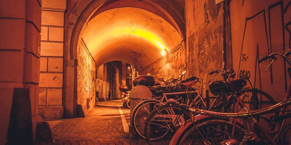 Gels, Bars, and Drink Mixes: Cycling Nutrition Products Ranked